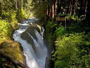 Hotel Sol Duc Hot Springs Port Angeles Exterior foto